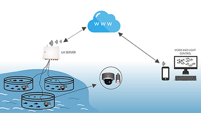 Subsea-Video-Server-for-fish-farming